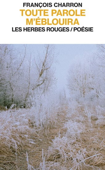 Toute parole m'éblouira