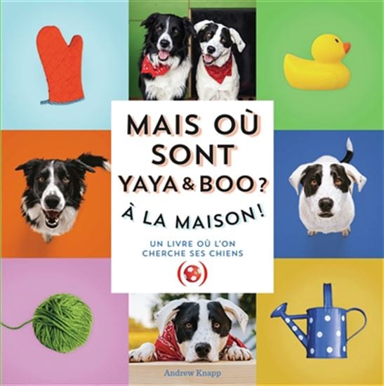 Mais où sont Yaya et Boo ? T03 : à la maison !