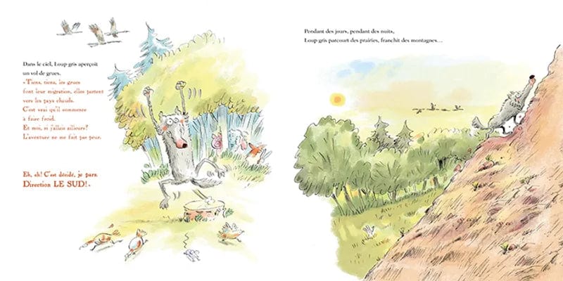 Loup gris part à l'aventure