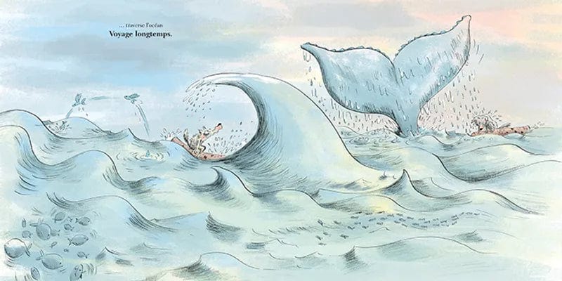 Loup gris part à l'aventure