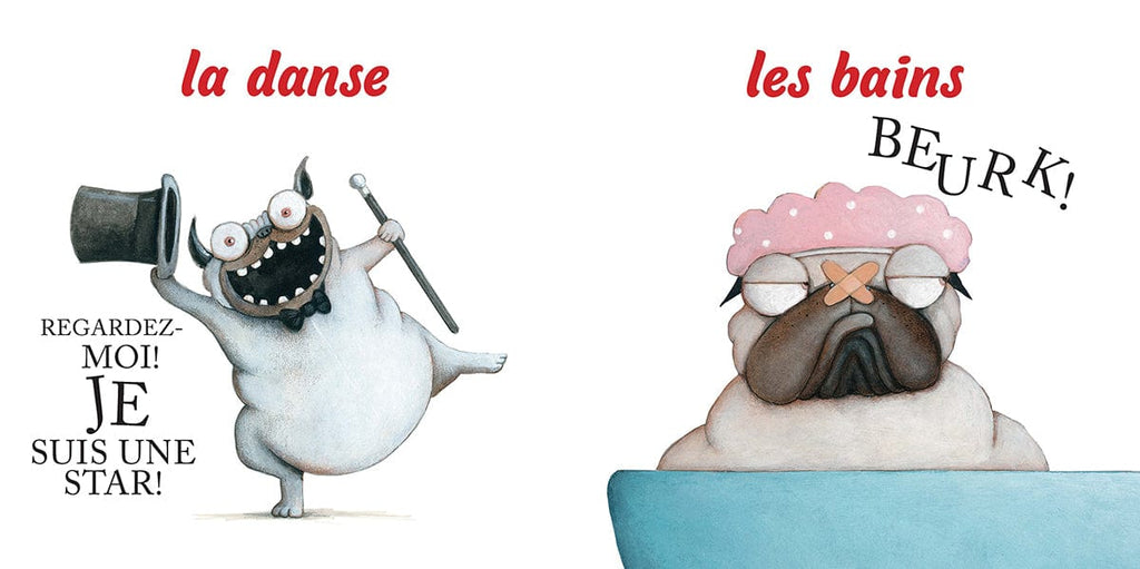 Carlos le carlin d'amour