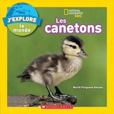 National Geographic kids - Les canetons