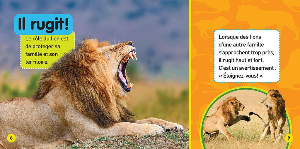 National Geographic kids - Les lions