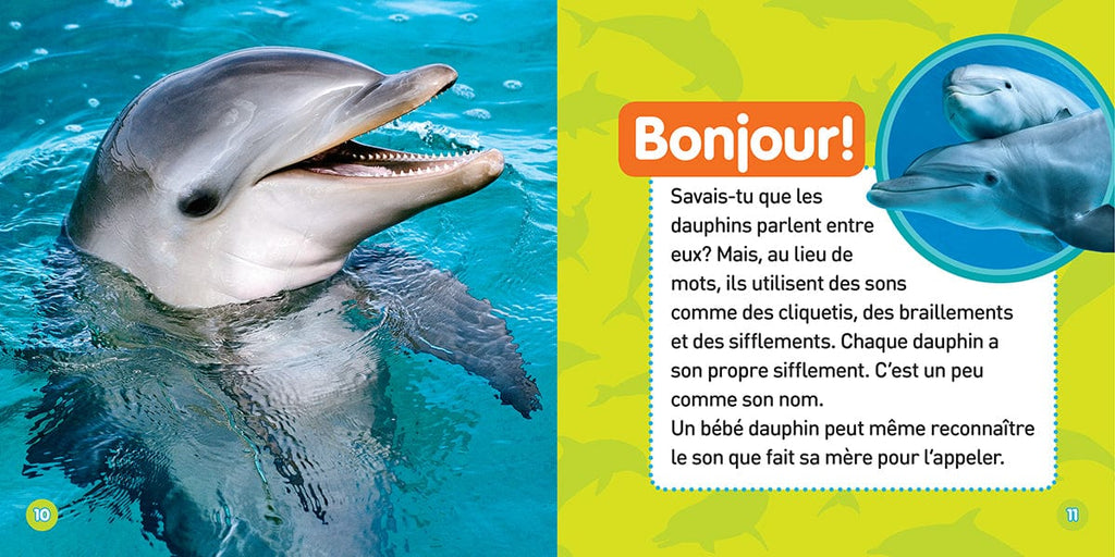 National Geographic kids - Les dauphins