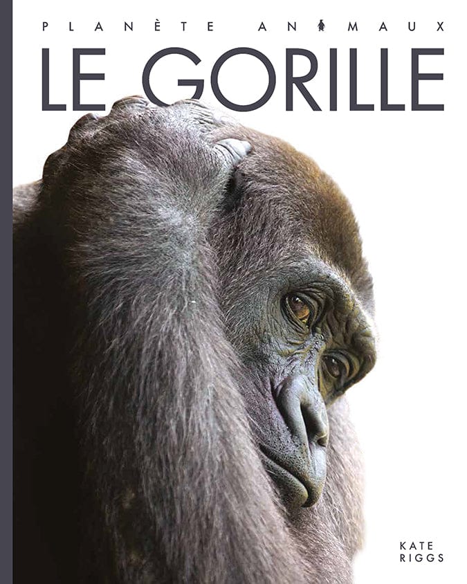 Planète animaux - Le gorille