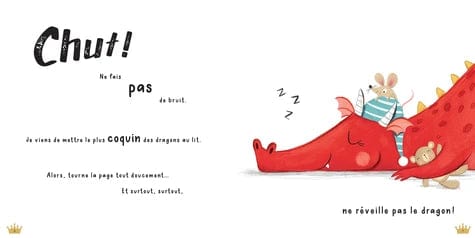 Chut pas un bruit ! (dragon endormi)