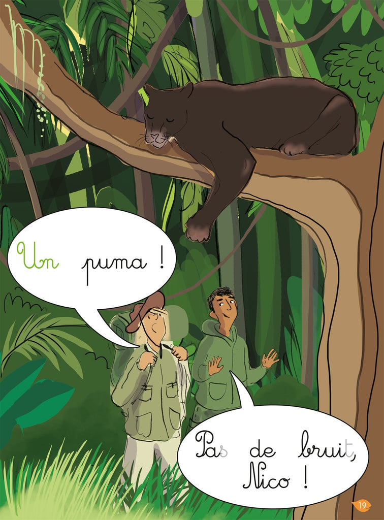 J'apprends à lire Montessori - La jungle - Niveau 2