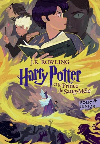 Harry Potter T06 - Le prince de sang mêlé