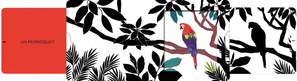 Les belles couleurs - Jungle