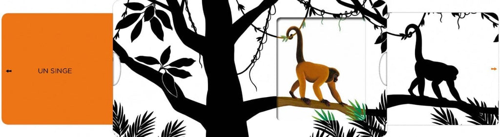 Les belles couleurs - Jungle