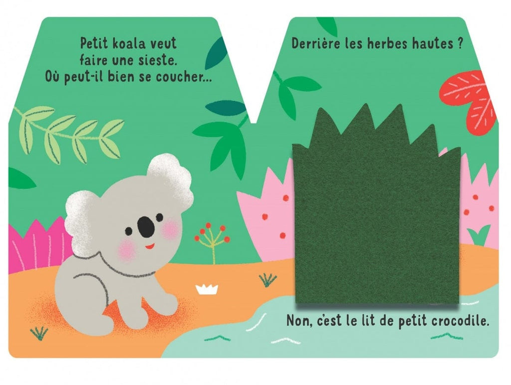 Cache-cache petit koala