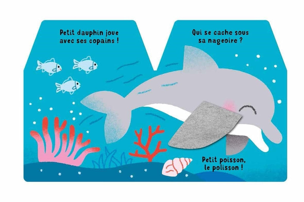 Cache-cache petit dauphin