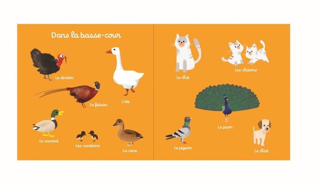 100 mots de la ferme