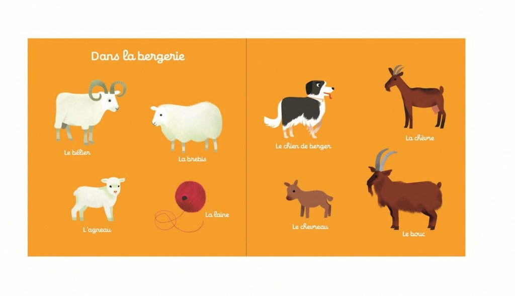 100 mots de la ferme