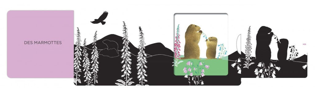 Les belles couleurs - Montagne