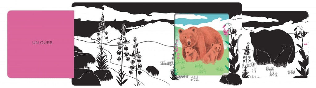 Les belles couleurs - Montagne