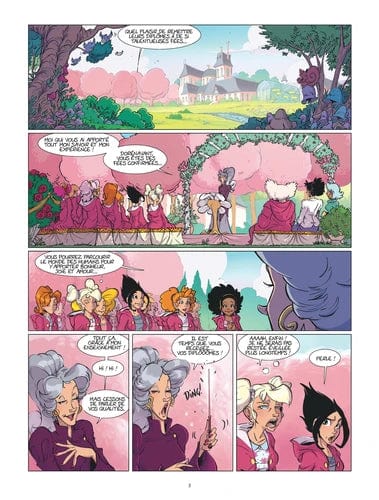 Les Fées Valentines T05 - Les sorcières de la rebellion