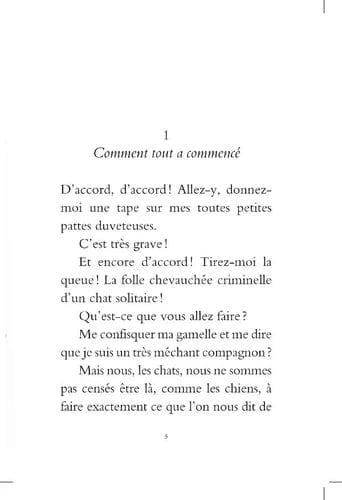 Le chat assasin: Le retour