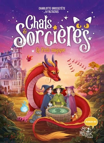Chats & sorcières T03 - Le puits magique