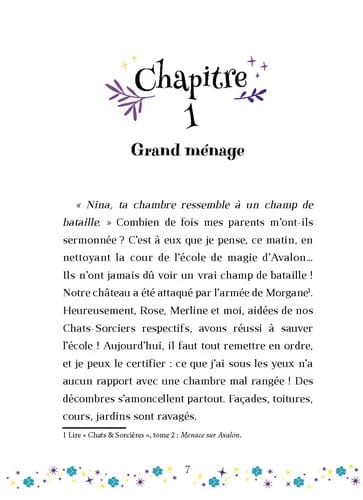 Chats & sorcières T03 - Le puits magique