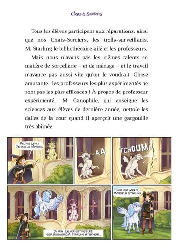 Chats & sorcières T03 - Le puits magique