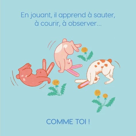 Petit doux - Bébé lapin