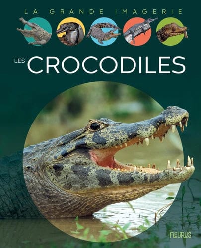 La grande imagerie - Les crocodiles
