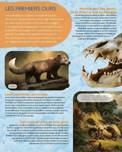 La grande imagerie - Défis nature - À la découverte des ours