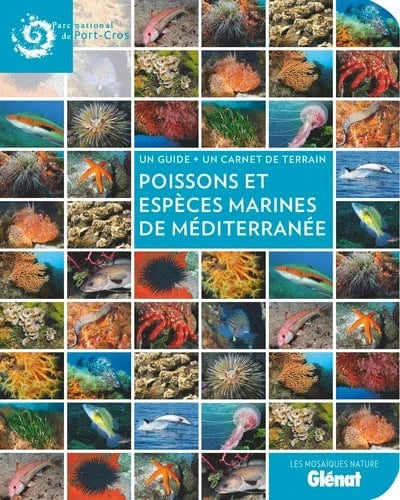 Poissons et espèces marines en Méditerranée - Un guide + un carnet de terrain