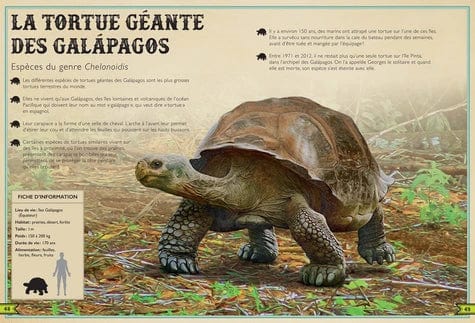 Le livre extraordinaire des reptiles et amphibiens