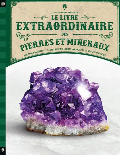 Le livre extraordinaire des pierres et minéraux