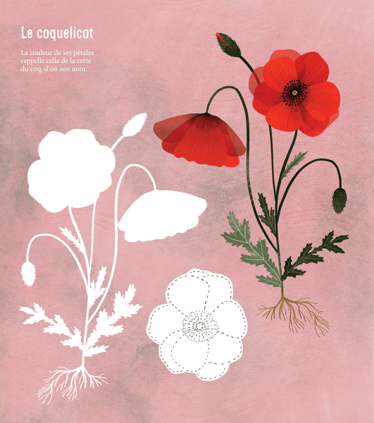 Mon beau livre de la nature - À la découverte des arbres, fleurs, fruits et légumes...