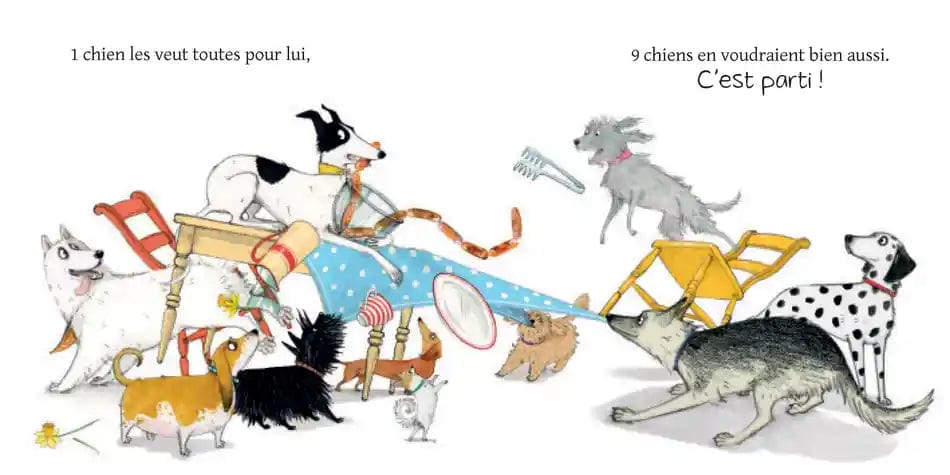 10 chiens