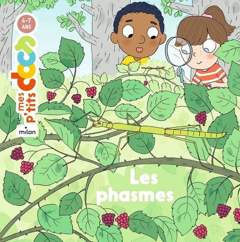 Mes p'tits docs - Les phasmes