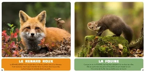 Mon premier animalier - Les animaux nocturnes