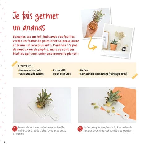 Je fais pousser mes noyaux et pépins