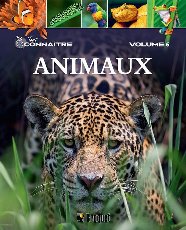 Tout connaître T06 - Animaux