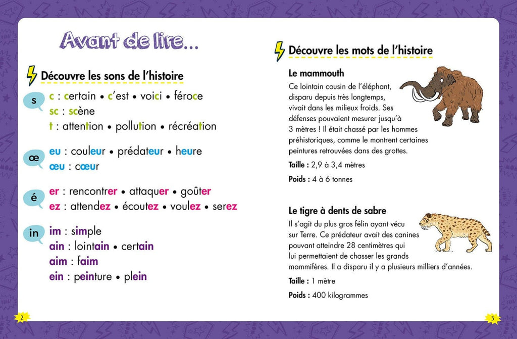 Les héros de 2e année - Une rencontre préhistorique - Niveau 2