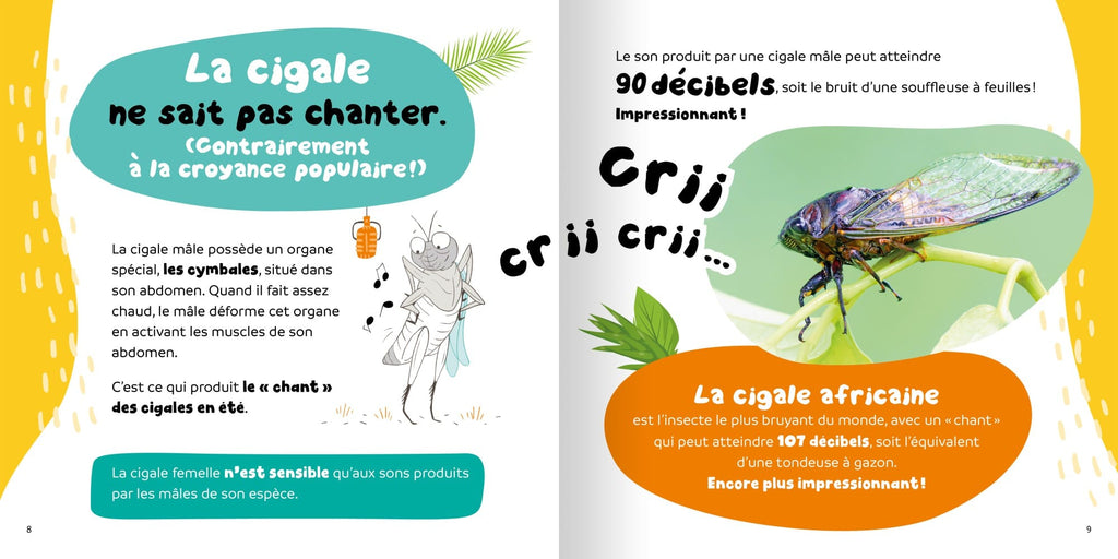 Pour vrai ? - 15 faits rigolos sur les insectes