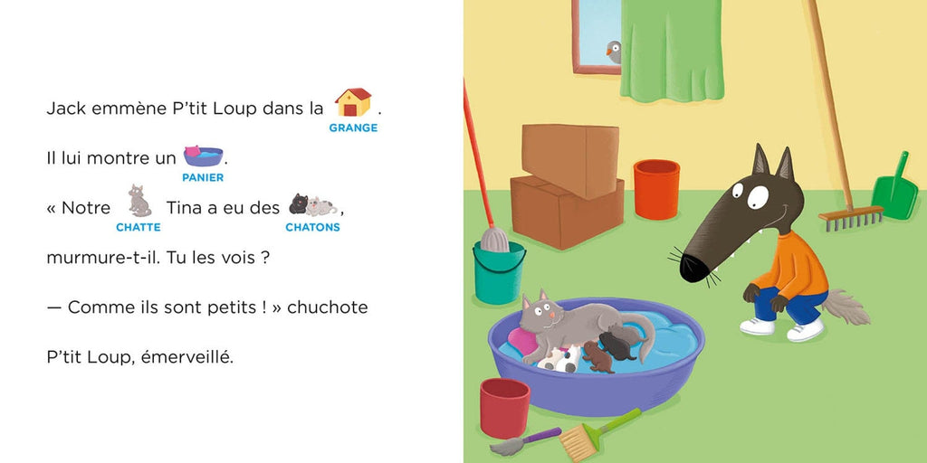 P'tit loup aime les bébés animaux