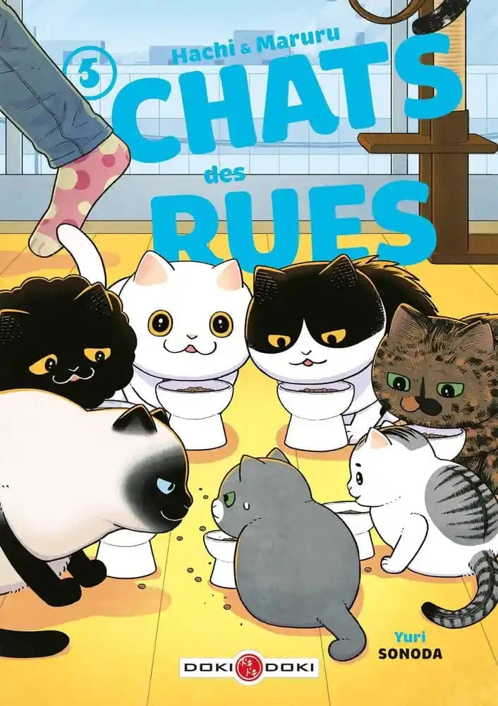 Hachi & Maruru, chats des rues T05