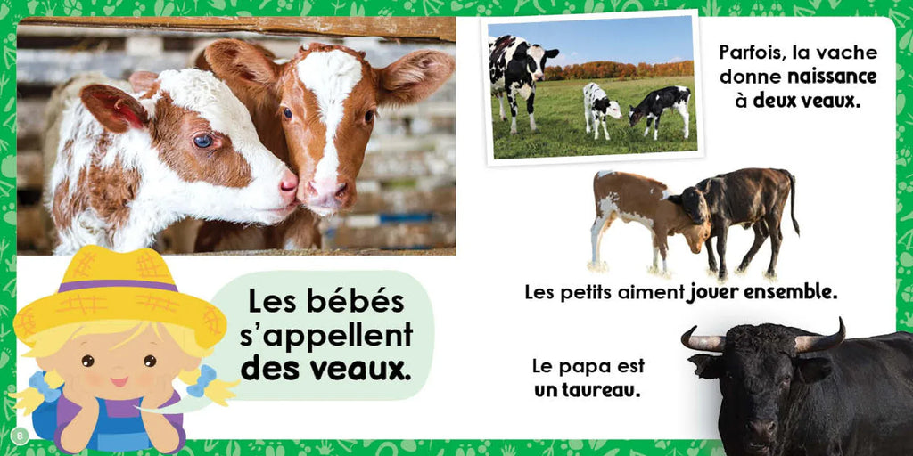 Mon louloudoc - Les vaches