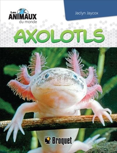 Axolotls