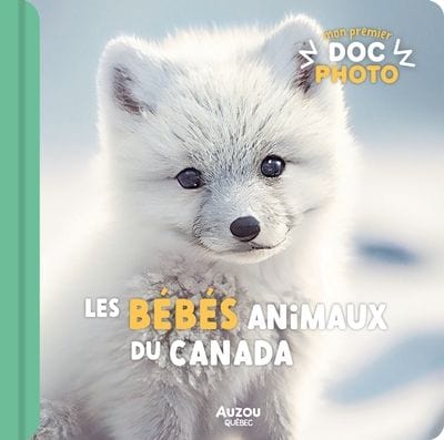 Mon premier doc photo - Les bébés animaux du Canada