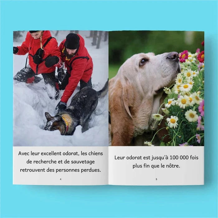 Ensemble Facile à lire - Les animaux de compagnie - Niveau 3c