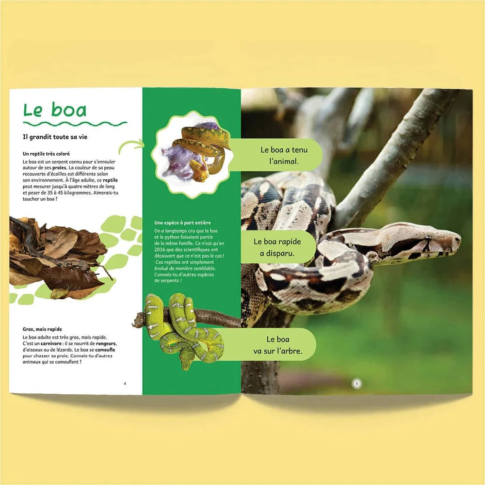 Facile à lire - Tandem - Animaux du monde 1 - niveau 1