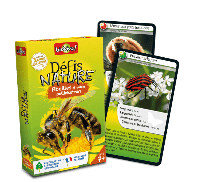 Défis Nature - Abeilles et autres pollinisateurs