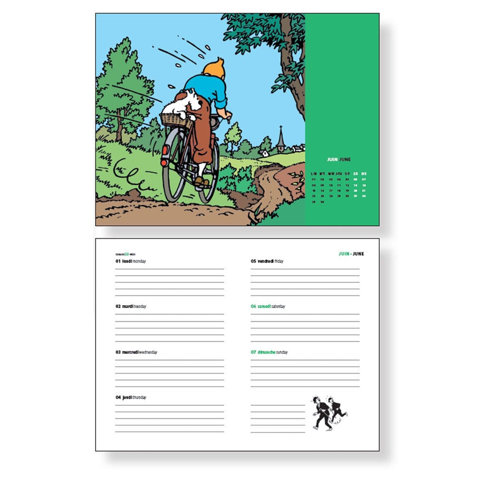 Agenda petit format Tintin 2026