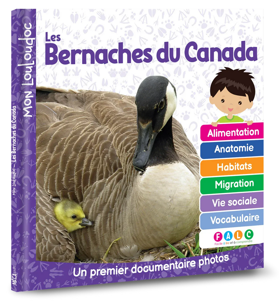 Mon louloudoc - Les bernaches du Canada