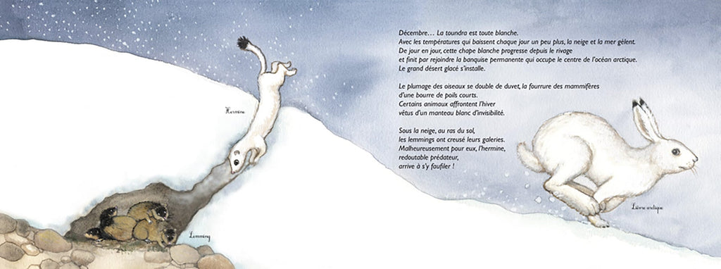 Au pôle Nord ou au pôle Sud ? - Les animaux du froid